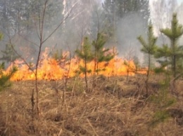 В Днепропетровской области объявили ЧП из-за пожаров