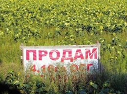 Земля на горизонте: как у Зеленского готовятся к снятию моратория на продажу сельхозземель