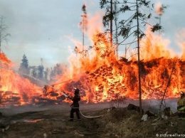 Немецкий профессор о пожарах в Сибири: Мир вступает в эпоху огня