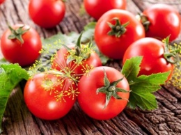 Украинцев пугают рекордные цены на помидоры: когда подешевеют томаты