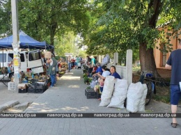 В Павлограде жители против стихийного рынка в их дворе (ВИДЕО)