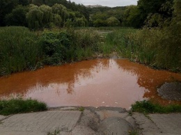 Водоемы Голосеевского парка стали оранжевого цвета из-за неизвестного вещества