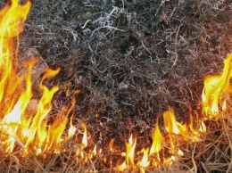Херсонщина страдает от пожаров
