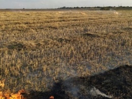 На Херсонщине за прошлые сутки семь случаев пожара травы