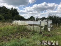 У жителя Харьковской области полицейские нашли 230 кустов конопли