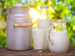 О пользе и вреде молочных продуктов