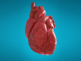 Состояние сердца в среднем возрасте влияет на вероятность будущей деменции