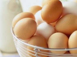 Латвия призывает Еврокомиссию строже следить за украинскими яйцами