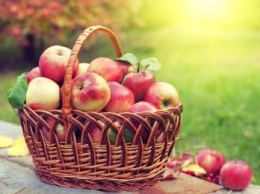 Яблочный Спас-2019: традиции, обряды, приметы и обычаи