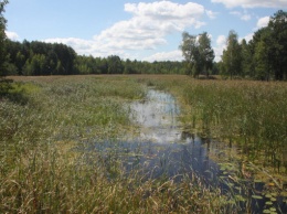 На Киевщине вскоре может появиться Днепровско-Тетеревский национальный природный парк