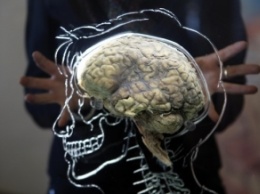 Ученые смогли омолодить старый мозг