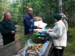 В российских лесах ловят грибников и ягодников без документов