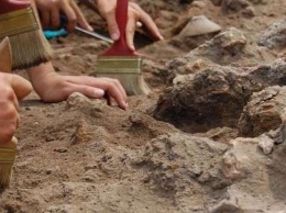 Дело пахнет сенсацией: студенты раскопали усадьбу древних греков