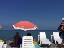 На пляжах Азовского моря заметили ушастого продавца (ВИДЕО)