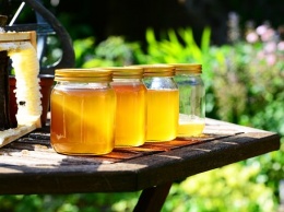 Чем полезен мед: 9 лечебных свойств, в которые верят люди