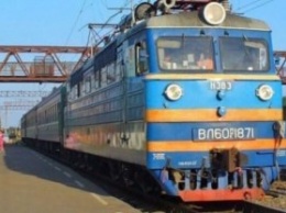 В Житомире девочка попала под поезд, пытаясь спасти собаку