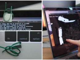 Как превратить экран MacBook в сенсорный за 66 рублей, рассказал блогер