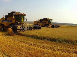 В Одесской области завершается уборка ранних зерновых и зернобобовых: в Придунавье - неурожай