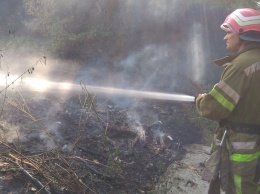 Пожары на Полтавщине: выгорело около 28 гектаров травы и камыша