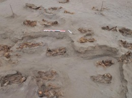 Археологи обнаружили в Перу крупнейшее захоронение принесенных в жертву детей