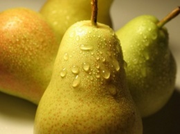 Диетолог Елена Соломатина назвала самые полезные плоды в начале осени