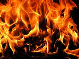 На Николаевщине снова горела хвойная подстилка в двух лесных урочищах