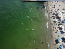 На всех пляжах Одессы улучшилось состояние воды