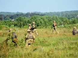 Сутки в ООС: боевики устроили подлую провокацию возле села Зайцево