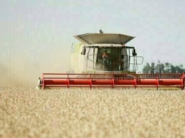 Зерно по форварду: как аграрию занять недостающее на посевную
