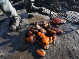 В Украине из-за незаконной добычи янтаря повреждено более 6 тыс. га земли