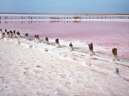 Арабатская стрелка в опасности: легендарное розовое озеро Геническа исчезает (Фото)