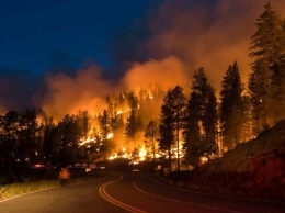 К чему приведут масштабные лесные пожары по всему миру и готова ли к этим вызовам Украина?