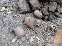 На Днепропетровщине мужчина нашел у себя на огороде 3 гранаты, - ФОТО