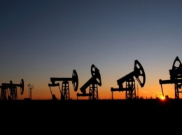 Цены на нефть растут на фоне заявлений нового министра энергетики Саудовской Аравии