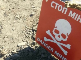 В Славянске строители нашли минометную мину