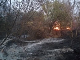 В Ахтырке пенсионерка погибла, пытаясь сжечь мусор на огороде