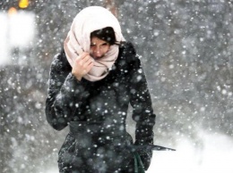 Осень отменяется - будет сразу зима: Украину резко начало засыпать снегом