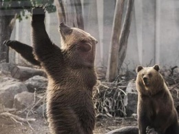 За 300 миллионов Черкасский зоопарк добавит к названию слово Roshen