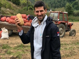 Джокович помог жителям сербского села копать картошку