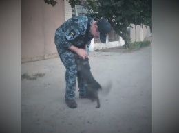 Освобожденный моряк Чулиба встретился с собакой Джесси