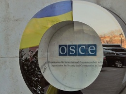 Украинские организации призвали ОБСЕ расширить мониторинг на Черное и Азовское моря
