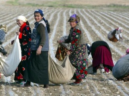 Зачем узбекам Туркестана предложили переселиться в северный Казахстан