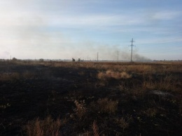 В Павлограде поджоги камыша могут закончиться пожарами на торфяниках (ФОТО и ВИДЕО)