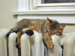 Отопительный сезон: Когда в домах будет тепло и кто может остаться без отопления