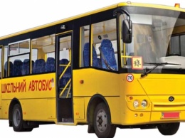 Дефицита школьных автобусов на Херсонщине не будет