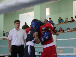 В Бердянске состоялись юношеские турниры по боксу