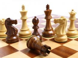 Во Львове шахматист убил своего соперника из-за пораженияl