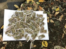 В Днепропетровской области у мужчины нашли около сотни пакетиков конопли, - ФОТО