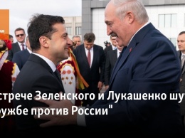 На встрече Зеленского и Лукашенко шутили о "дружбе против России"