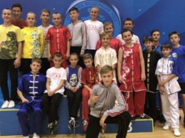 Бердянские ушуисты успешно выступили в Кубке Украины